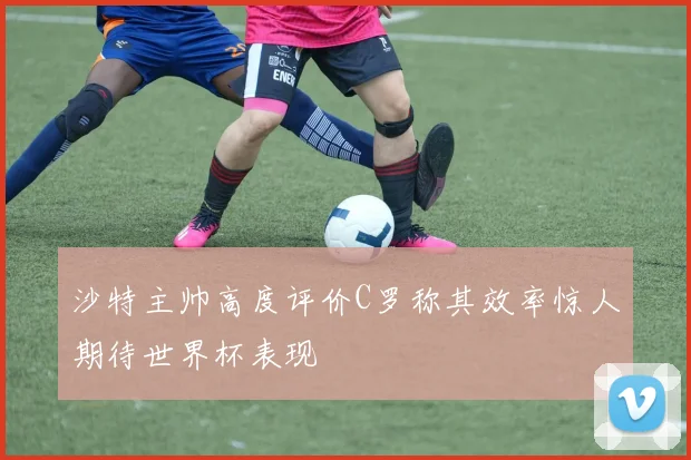 沙特主帅高度评价C罗称其效率惊人期待世界杯表现