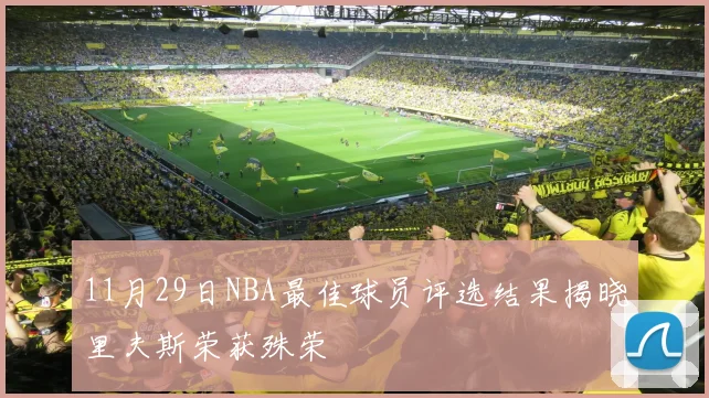 11月29日NBA最佳球员评选结果揭晓里夫斯荣获殊荣