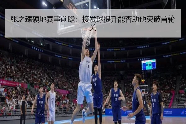 张之臻硬地赛事前瞻：接发球提升能否助他突破首轮关 | ayx
